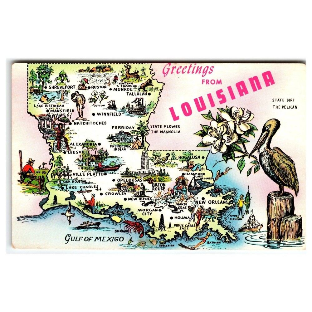 Vintage Louisiana Pictorial Map Postcard Lusterchrome Tichnor 1960 Pelican State